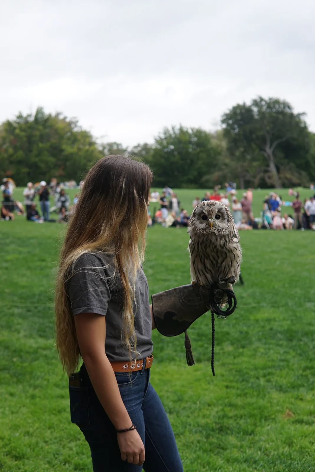 A ranger holding an owl on a gloved hand at a free Urban Park Rangers program in Central Park